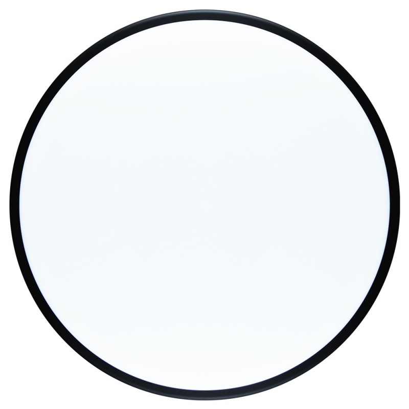 MVP Neutron Deflector - Dyer's delight