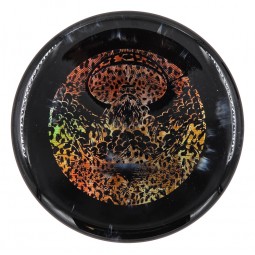 Doomsday Shockwave Rot