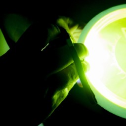 MVP Large UV Flashlight