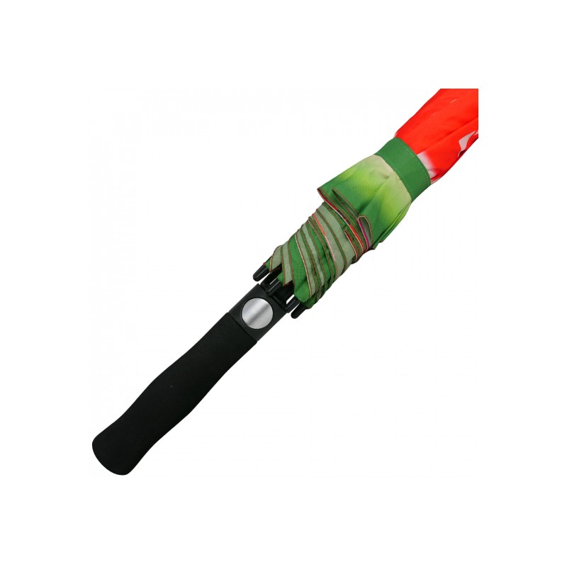 Axiom Umbrella Watermelon Edition