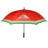 Axiom Umbrella Watermelon Edition